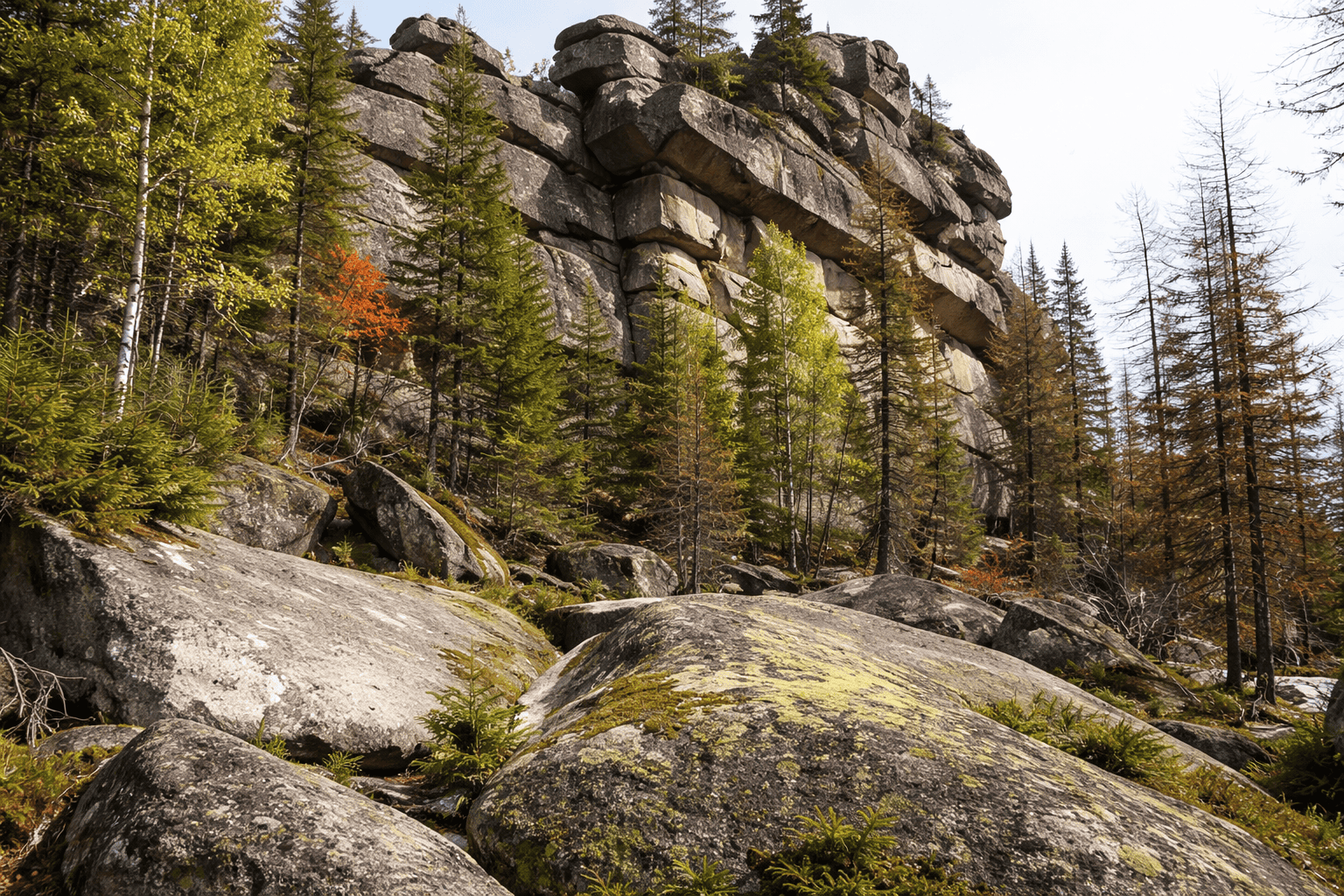 Eine felsige Klippe mit großen Felsbrocken und -platten, die an die Megalithen von Gornaya Shoria erinnert, erhebt sich über einem Wald aus immergrünen und laubabwerfenden Bäumen mit herbstlicher Färbung. Auf den Felsen im Vordergrund wachsen Moos und kleine Pflanzen. | ancient-aliens-fakten.de